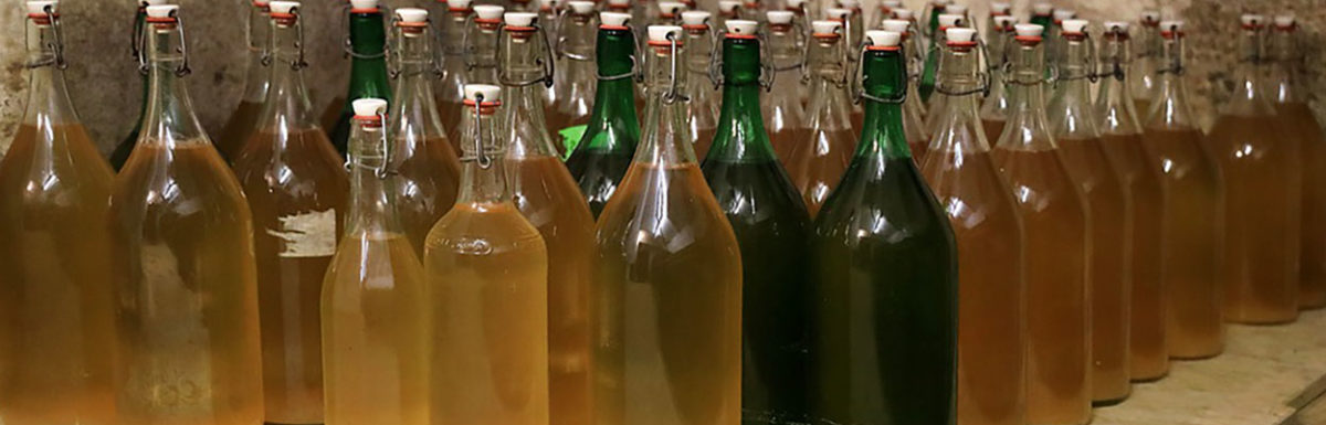 Top 10 Apple Cider Vinegar Supplements (2023 Update)