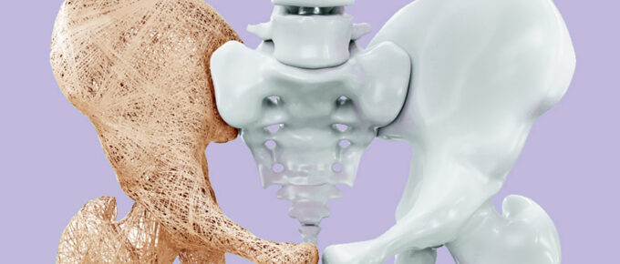pelvic and hip bones